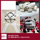  Nơ Giấy Giao Xe - Nơ Giấy Sự Kiện HCM Giá Rẻ 