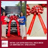  Nơ Giao Xe-Nơ Xe Hơi 06- Freeship Toàn Quốc 