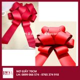  Nơ Giấy Giao Xe - Nơ Giấy Sự Kiện HCM Giá Rẻ 