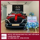  Nơ Giao Xe-Nơ Xe Hơi 02-Freeship Toàn Quốc 