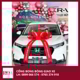  Cổng Bong Bóng Trang Trí Lễ Giao Xe Tận Nơi HCM 