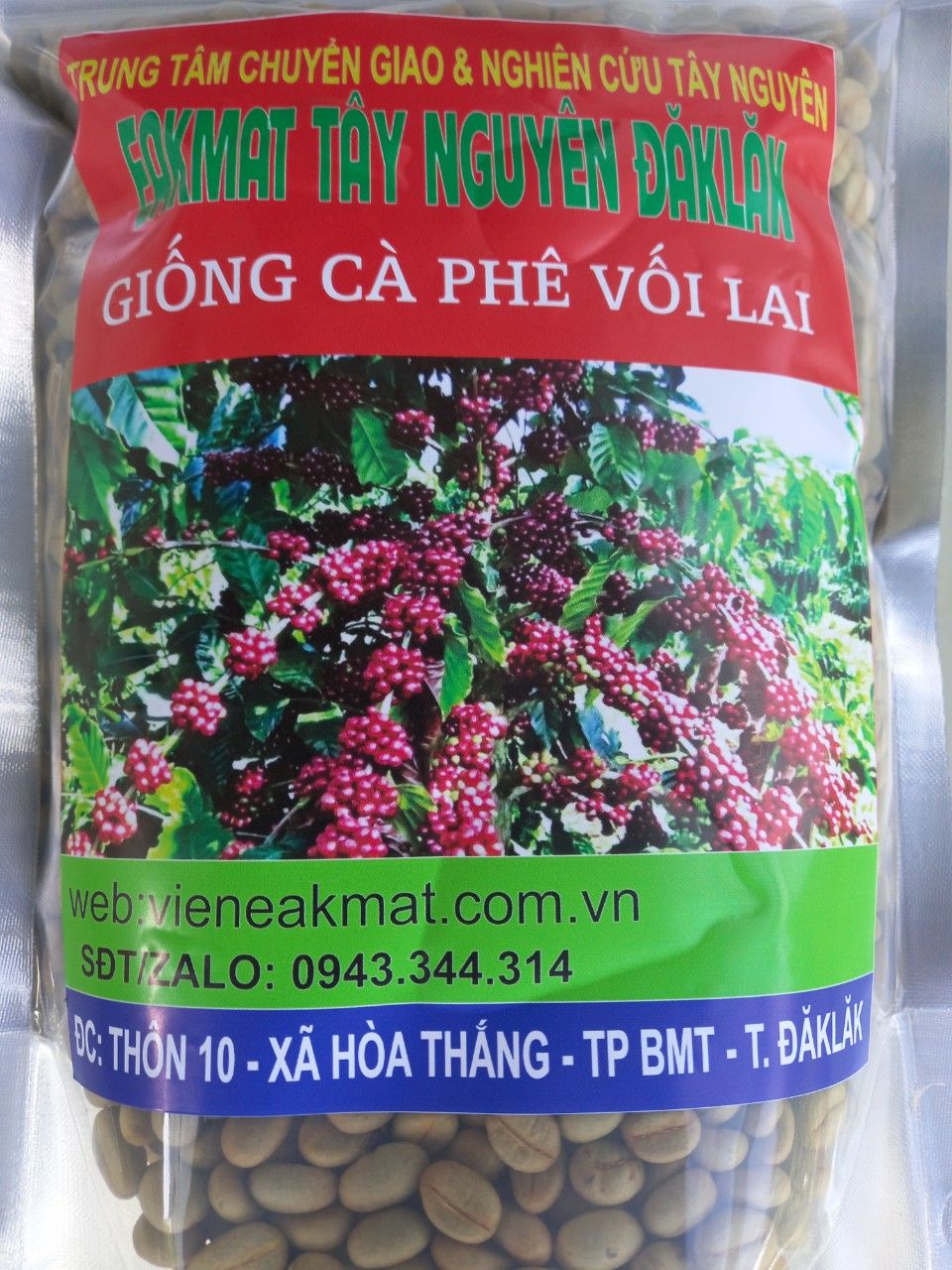  Giống Cà Phê Vối Lai 