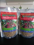  Giống Cà Phê Vối Lai 