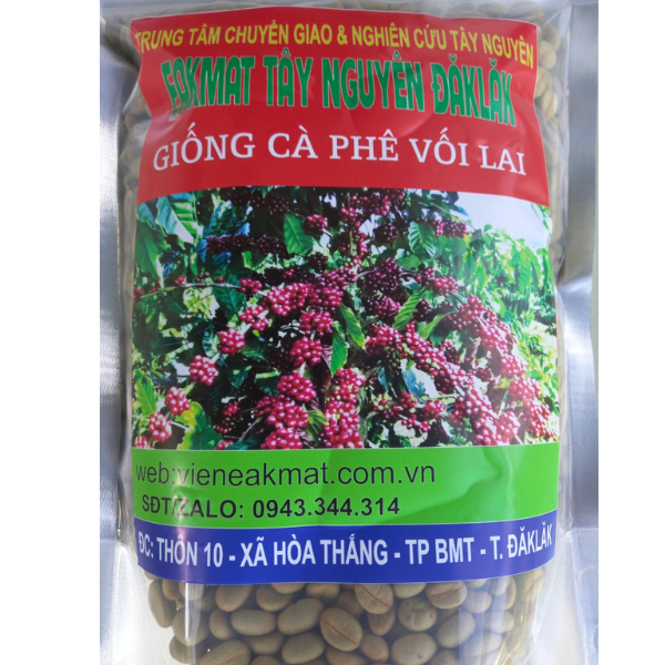  Giống Cà Phê Vối Lai 