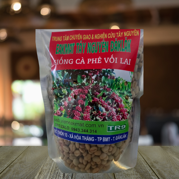  Giống Cà Phê Vối Lai TR9 
