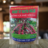  Giống Cà Phê Vối Lai TR4 