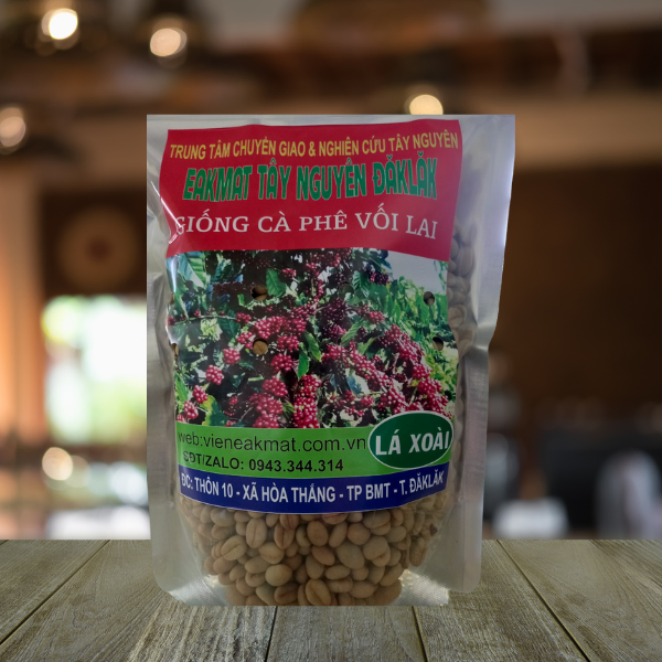  Giống Cà Phê Vối Lai Lá Xoài 