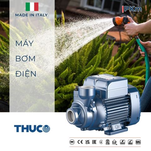  Máy bơm nước PKm60 