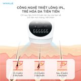  Máy triệt lông lạnh cá nhân Whale IHR-668 