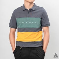 Áo polo phối ngực 3 màu in chữ