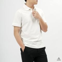 Áo polo trơn vải cotton