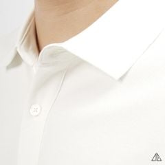 Áo polo trơn vải cotton
