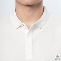 Polo phối viền tay xanh nâu