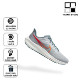  PEGASUS 39 'PURE PLATINUM' - DH4071-003 - NPEG0 