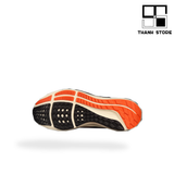  PEGASUS 39 - DX6050-101 - NPEGW 