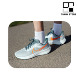 PEGASUS 39 'PURE PLATINUM' - DH4071-003 - NPEG0 