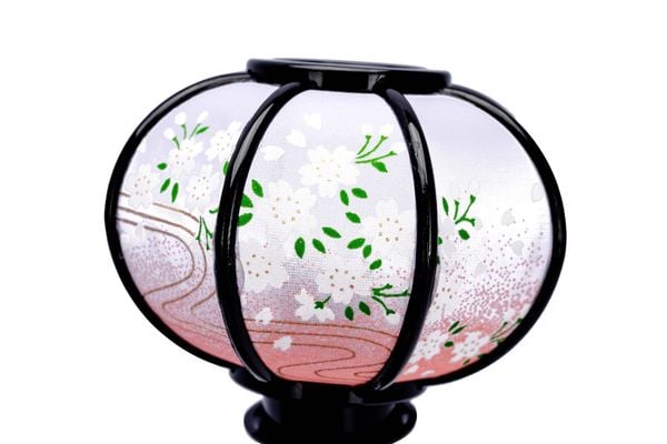 Bộ Hina Tono-Hime Số 902