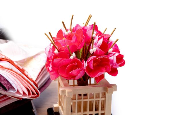 Bộ Hina Tono-Hime số 235