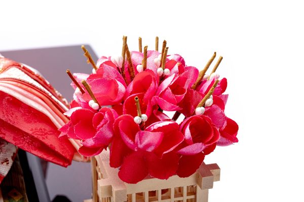 Bộ Hina Tono-Hime Số 258