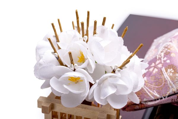 Bộ Hina Tono-Hime Số 258