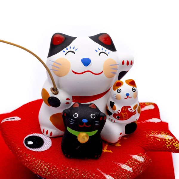 Mèo Cưỡi Cá Chép