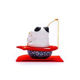 Mèo Cưỡi Cá Chép