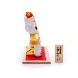 Mèo May Mắn Với Kí Tự 