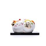 Mèo Tròn May Mắn (Màu Sắc Tam Thể)