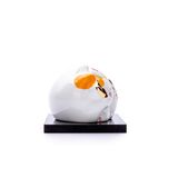 Mèo Tròn May Mắn (Màu Sắc Tam Thể)