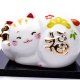 Mèo Tròn May Mắn (Màu Trắng)