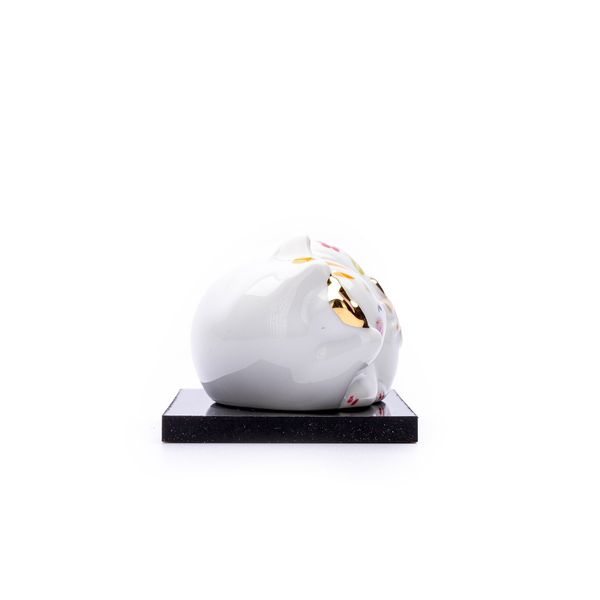 Mèo Tròn May Mắn (Màu Trắng)