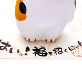 Mèo Tam Thể May Mắn