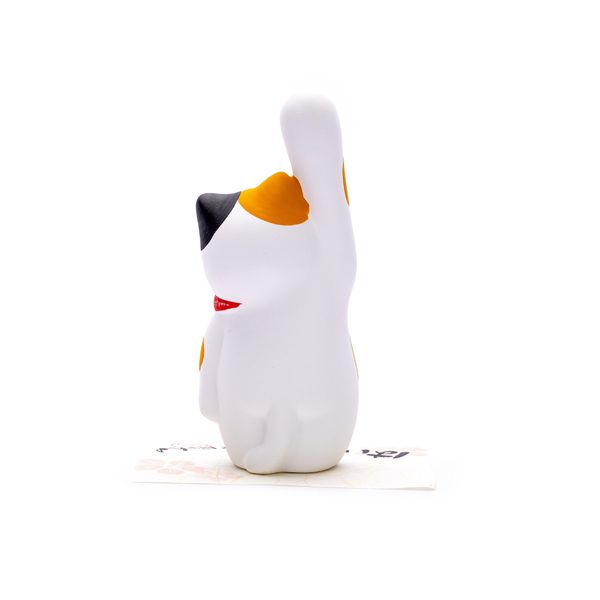 Mèo Tam Thể May Mắn