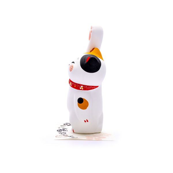 Mèo Tam Thể May Mắn