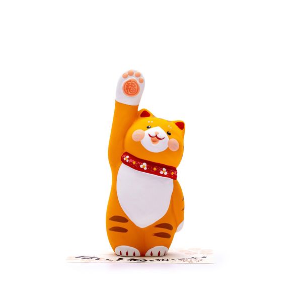 Mèo Cam Hạnh Phúc
