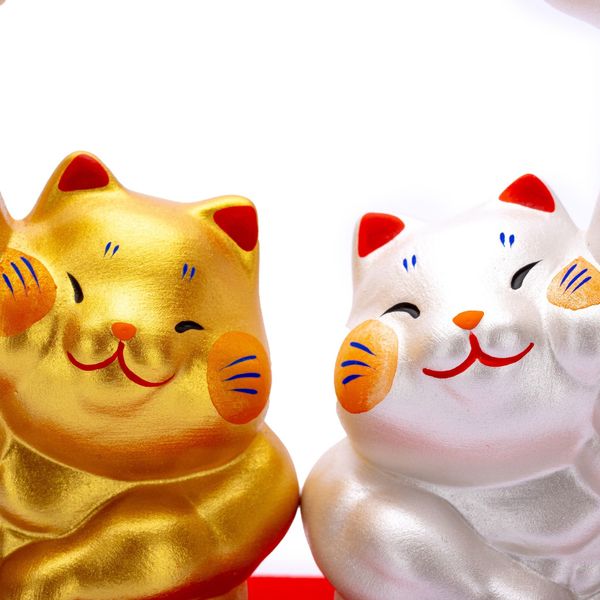 Đôi Mèo Lực Sĩ Cùng Tiến