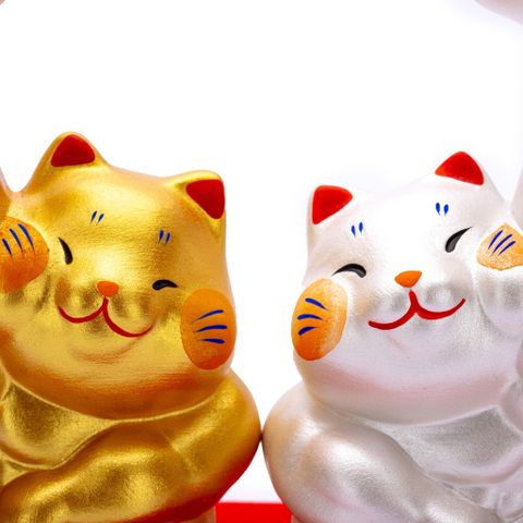 Đôi Mèo Lực Sĩ Cùng Tiến