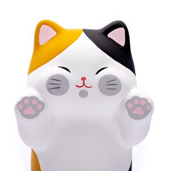 Mèo Tam Thể lớn đứng