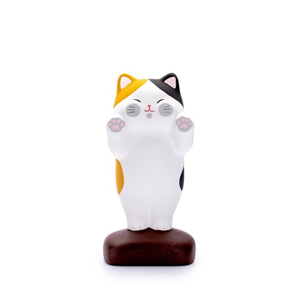 Mèo Tam Thể lớn đứng
