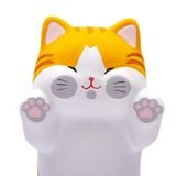Mèo Tam Thể Lớn (Vàng) Đứng