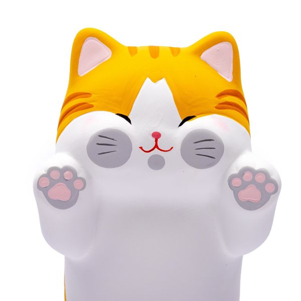 Mèo Tam Thể Lớn (Vàng) Đứng