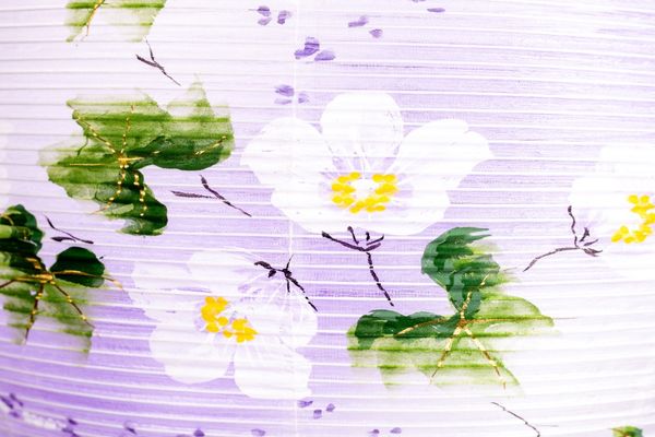 Đèn Lồng Cung Đình Gotenomaru Hagi số 11 Hani Picture 002