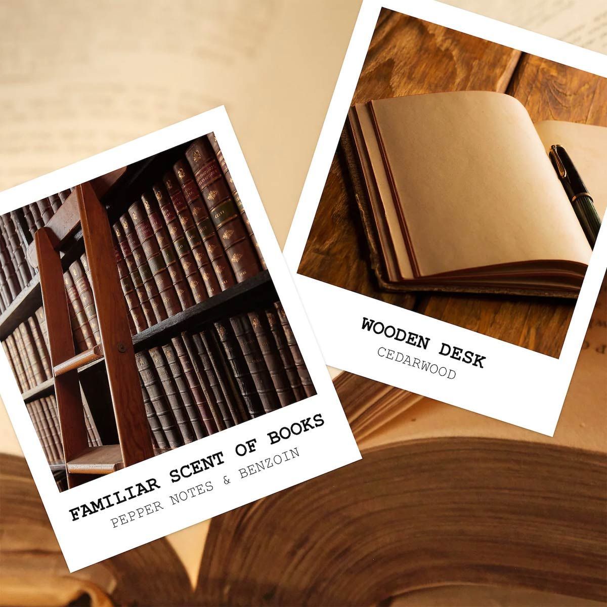 Maison Margiela Replica Whispers In The Library The 18th Perfume