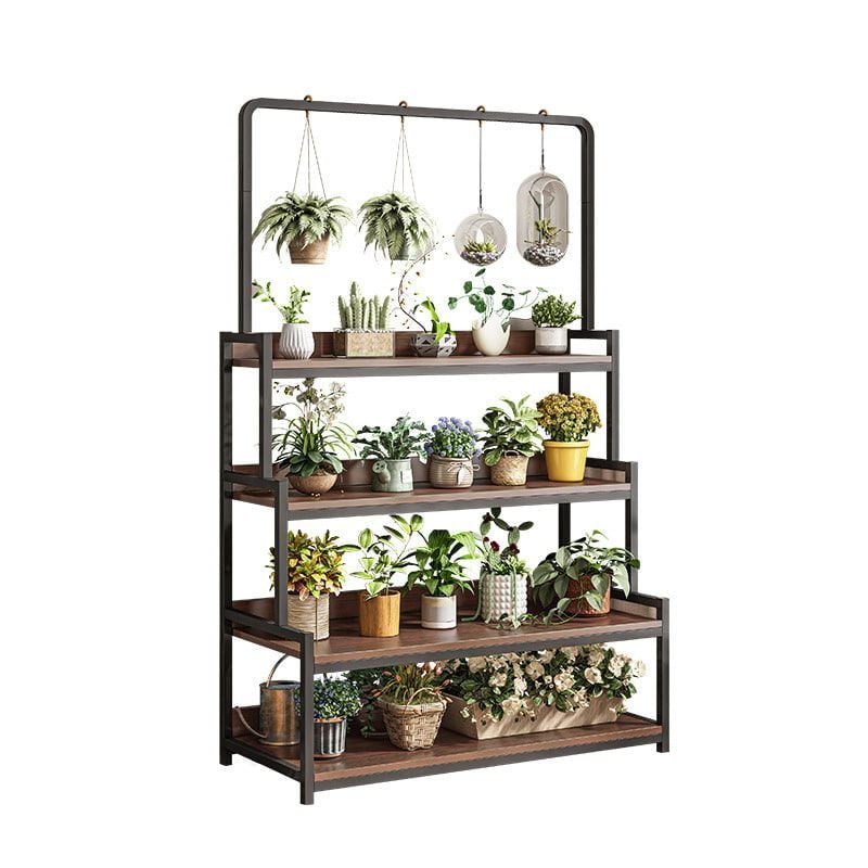 Kệ Cây Đa Tầng Gỗ 15 Ly Óc Chó Màu Đen GM124