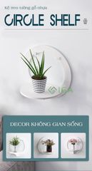 Kệ treo tường gỗ nhựa - IG389
