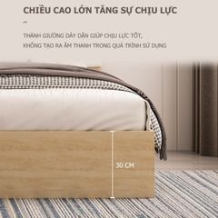 Giường ngủ bọc nệm cao cấp, hiện đại - GP240