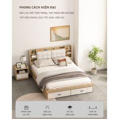 Giường Ngủ Thông Minh Nâng Hạ Có Ngăn Kéo, Kệ Sách - GP235