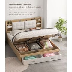 Giường Ngủ Thông Minh Nâng Hạ Có Ngăn Kéo, Kệ Sách - GP235