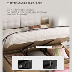 Giường Ngủ Thông Minh Nâng Hạ Có Ngăn Kéo, Kệ Sách - GP235