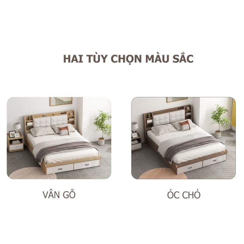Giường Ngủ Thông Minh Nâng Hạ Có Ngăn Kéo, Kệ Sách - GP235